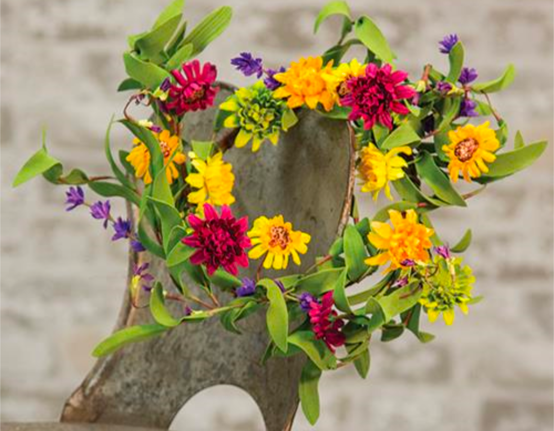 6" Mixed Prairie Daisy Candle Ring