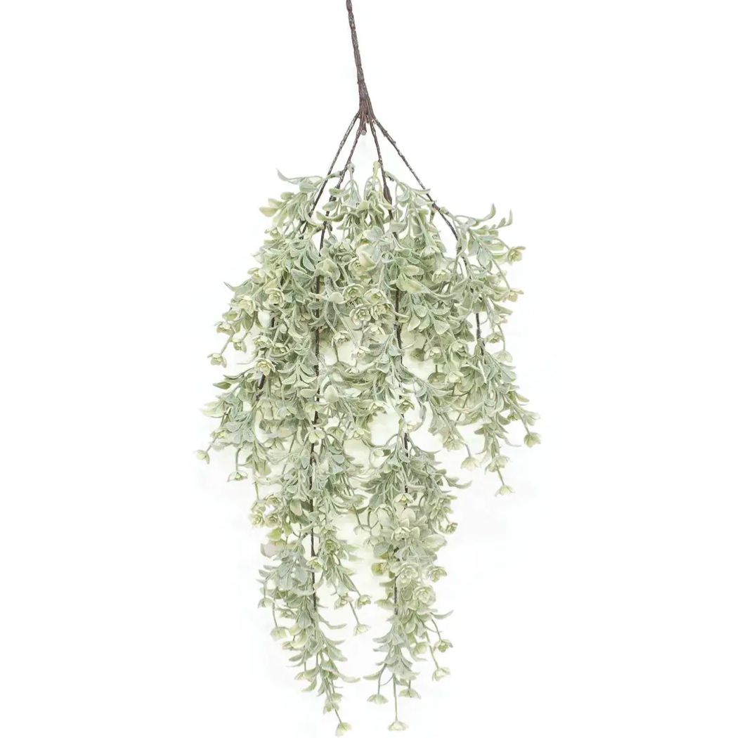 White Star Lavender Buds Hanging Vine