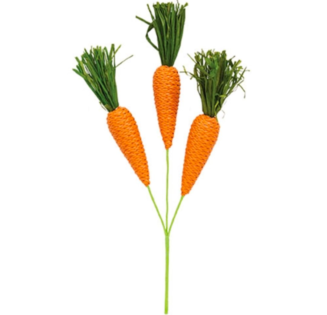 Grassy Carrot Trio Floral Pick