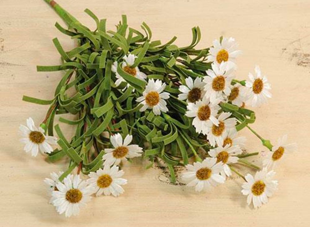 Cream Mini Mountain Daisy Floral Pick