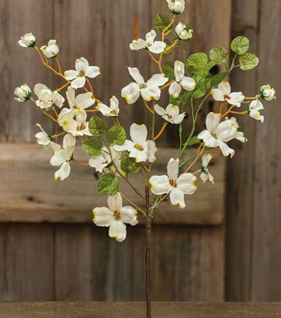 Cream English Dogwood Floral Pick