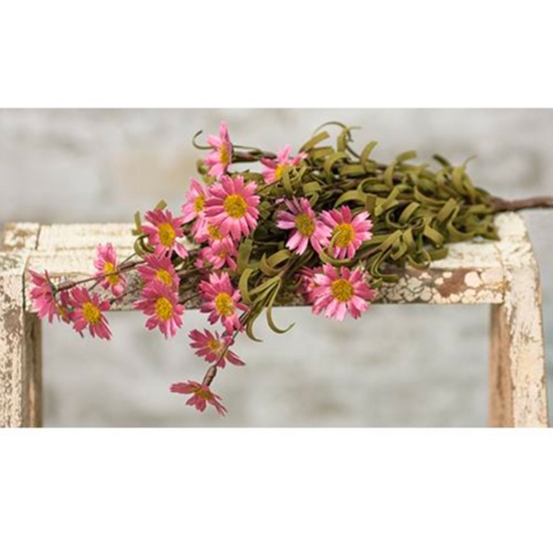 Pink Mini Mountain Daisy Floral Pick