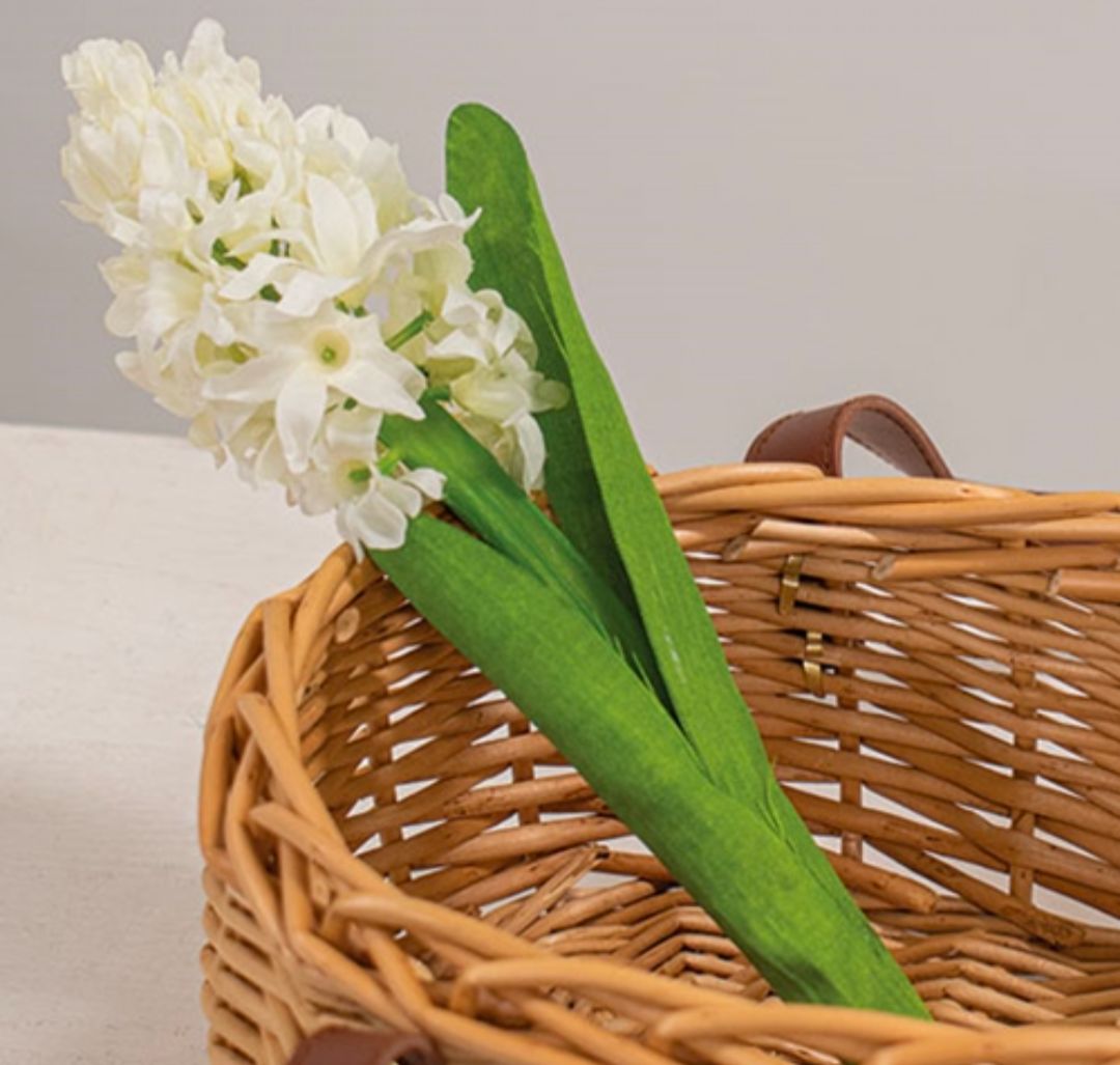 White Hyacinth Floral Stem