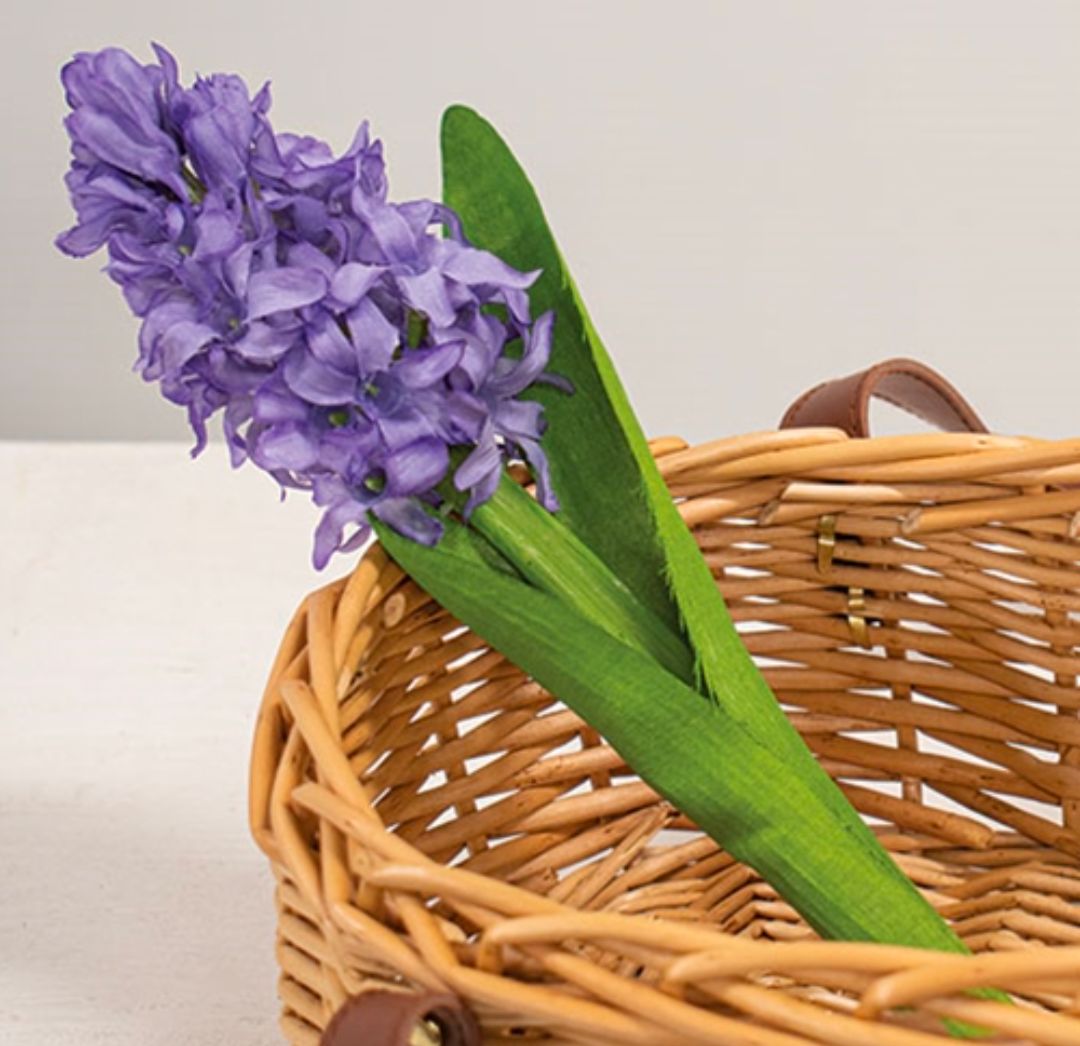 Purple Hyacinth Floral Stem