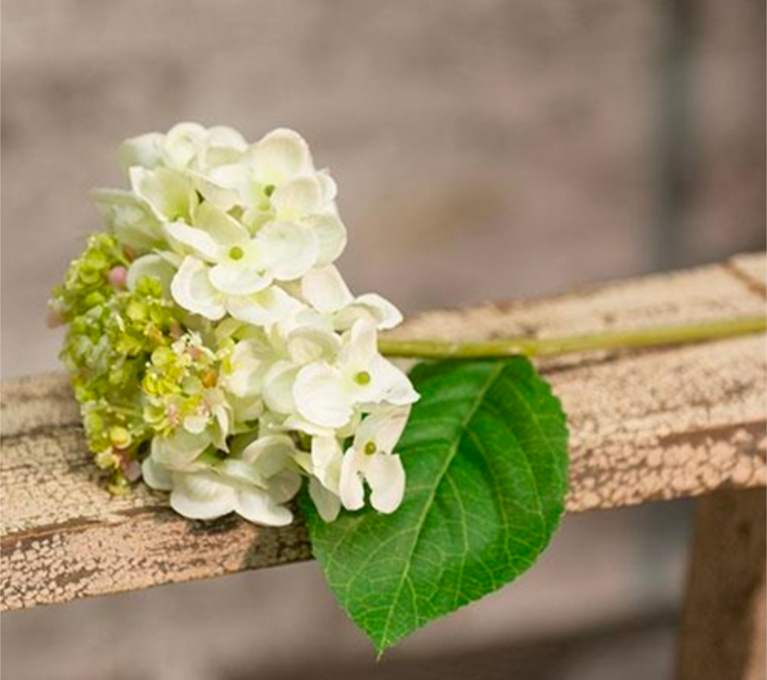 Cream Hydrangea Floral Pick