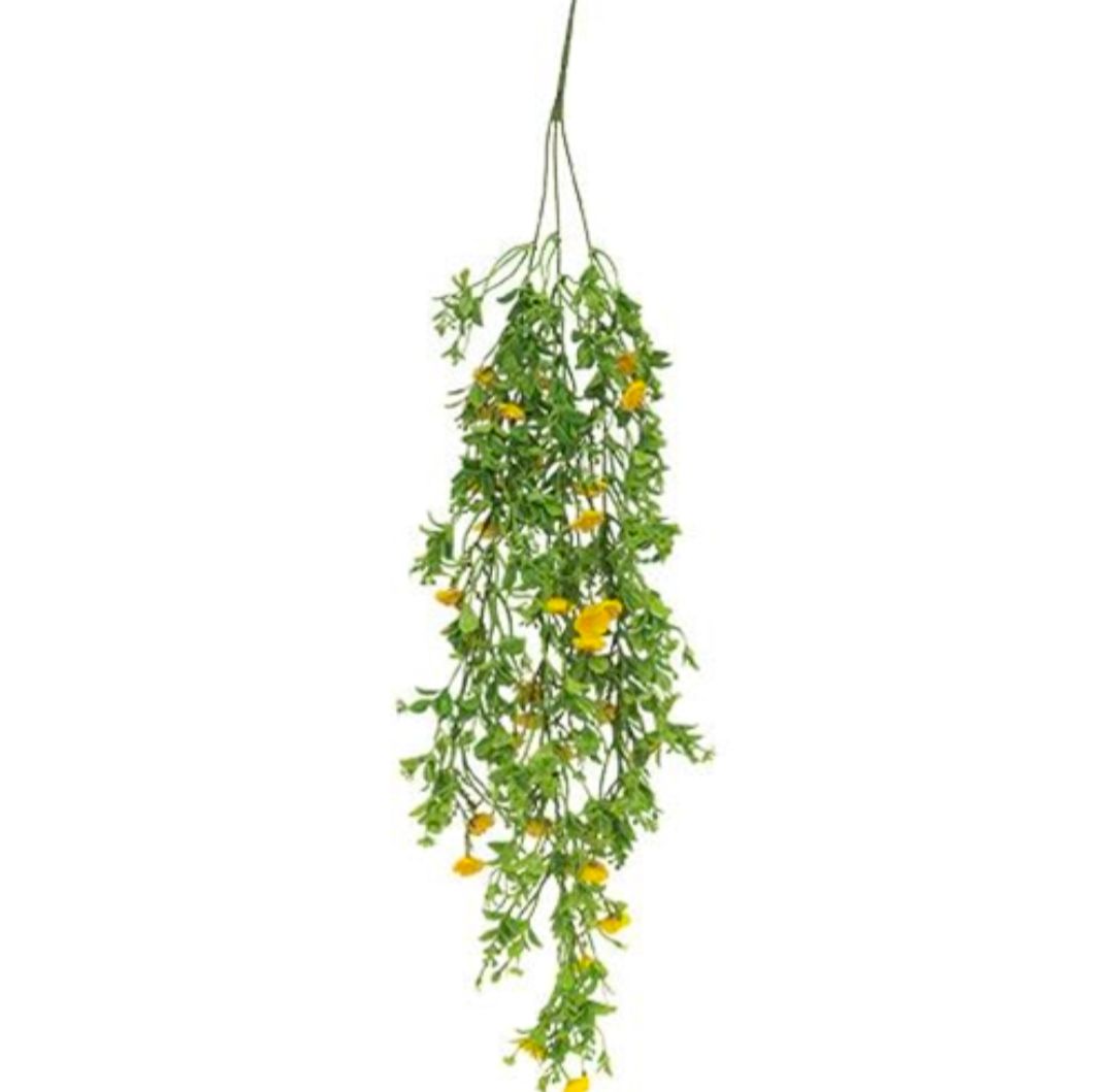 Evening Primrose Hanging Floral Vine