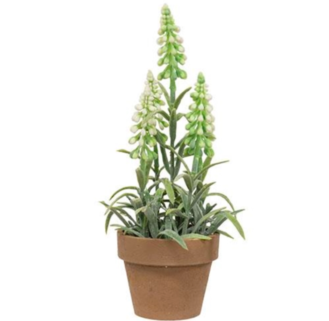 White Potted Mountain Bells Floral