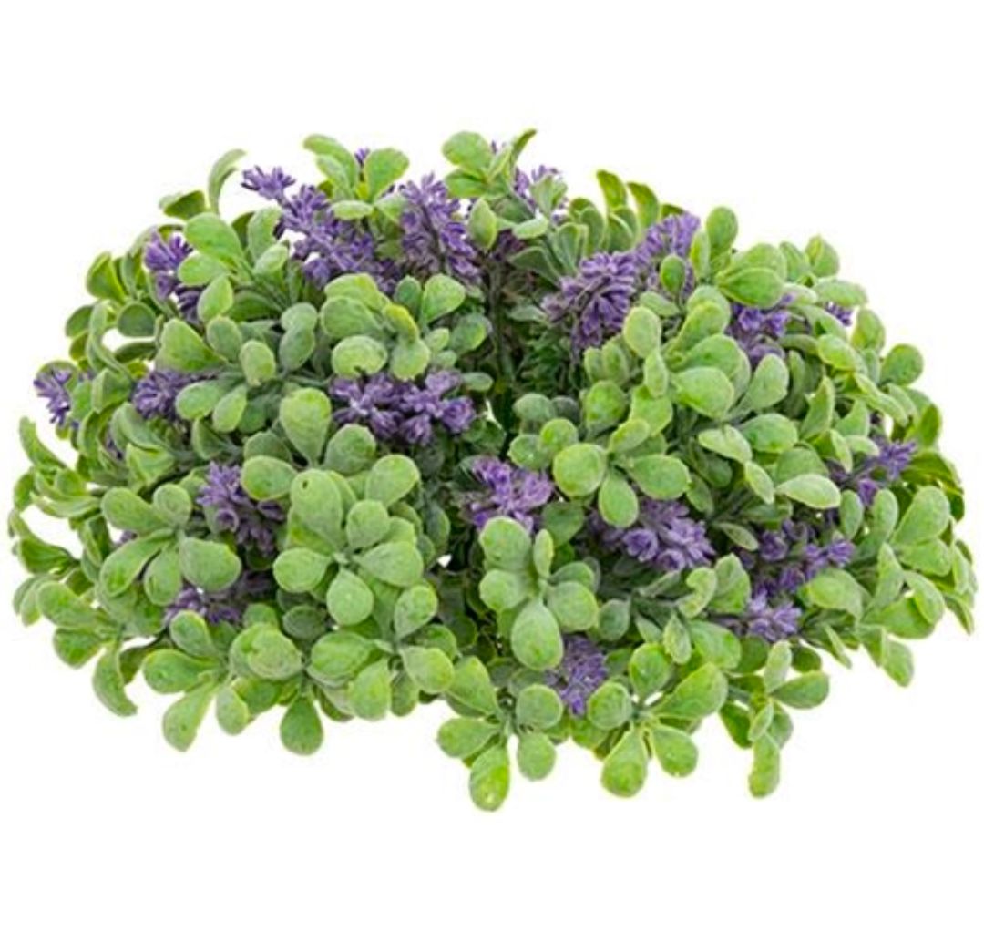 Purple Sage Boxwood Half Sphere