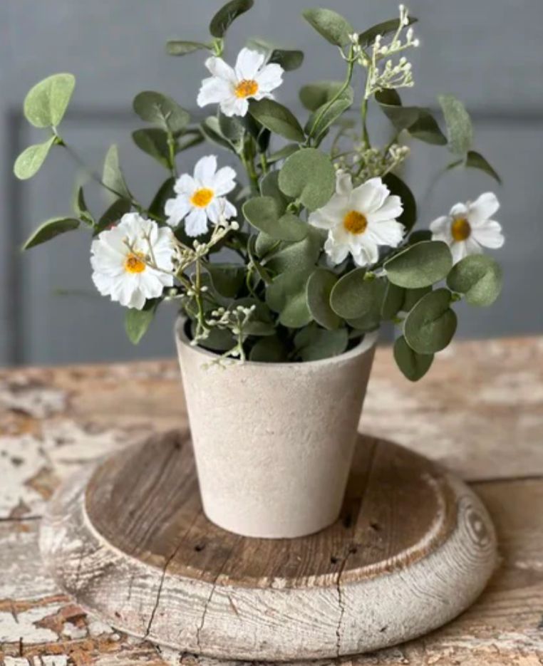 Potted Springsong Floral Accent