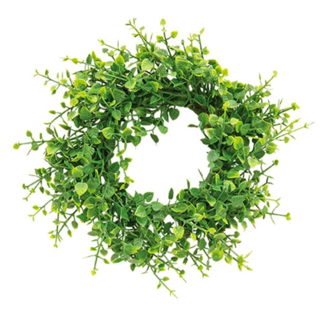 3" Verdant Baby Eucalyptus Candle Ring