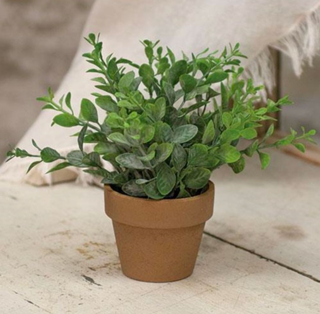 Potted Gatehouse Herb Floral Accent