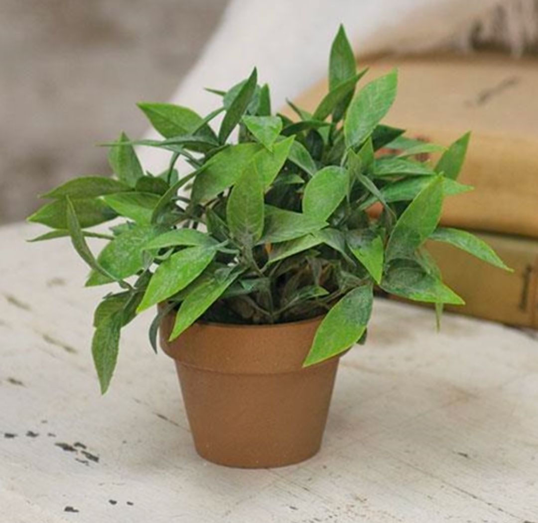 Potted Gatehouse Herb Floral Accent