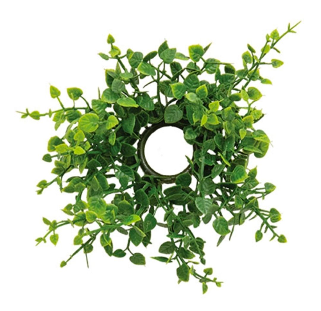 1" Verdant Baby Eucalyptus Candle Ring