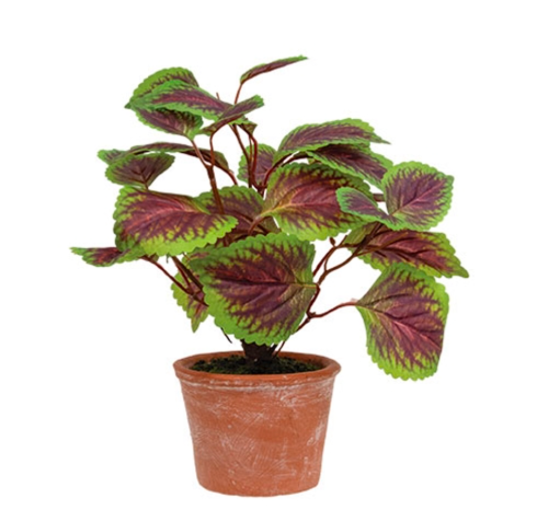 Potted Purple Mint Floral Accent