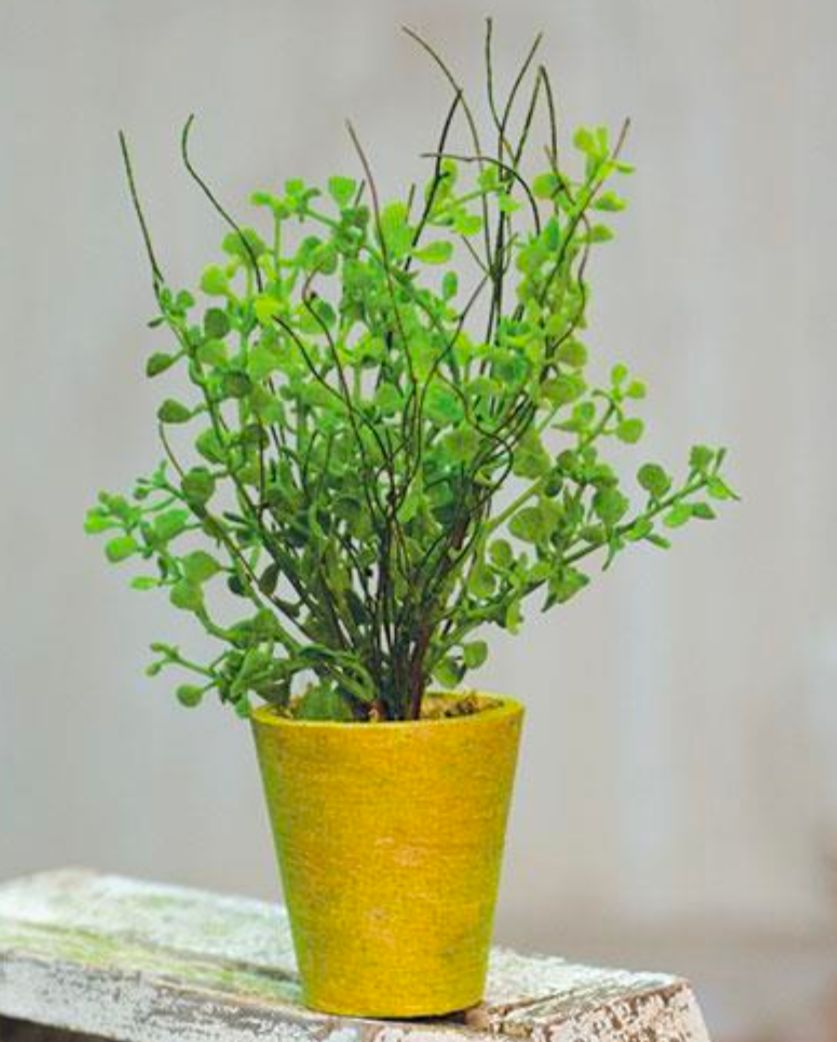 Potted Fern Floral Accent