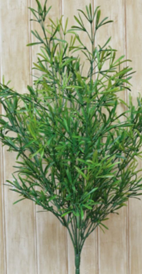 Asparagus Floral Pick