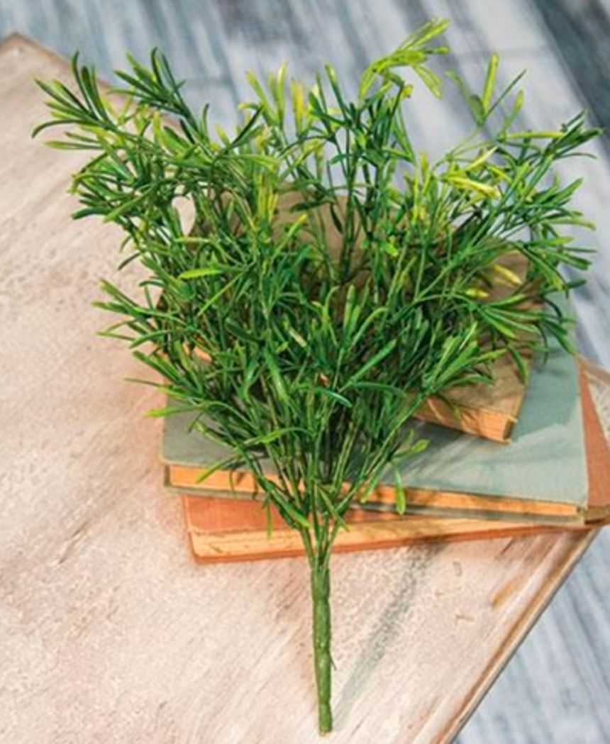 Asparagus Floral Pick