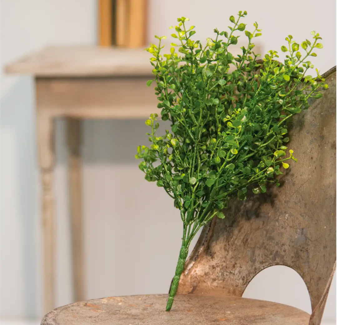 Baby's Grass Medium Green Floral Pick