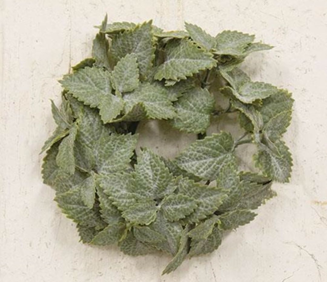 1" Matte Mint Candle Ring