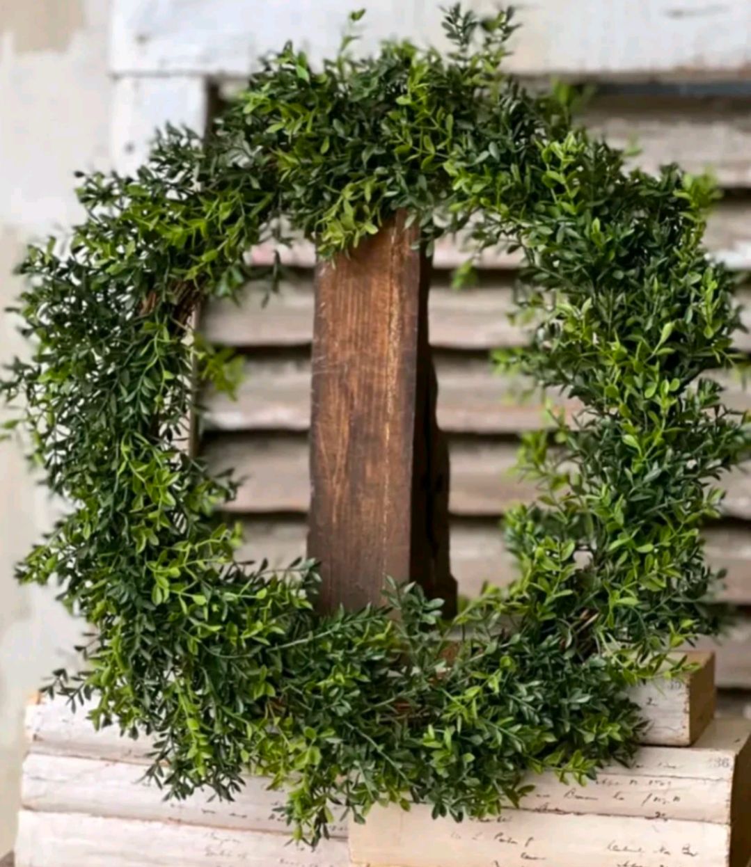 18" New England Boxwood Wreath