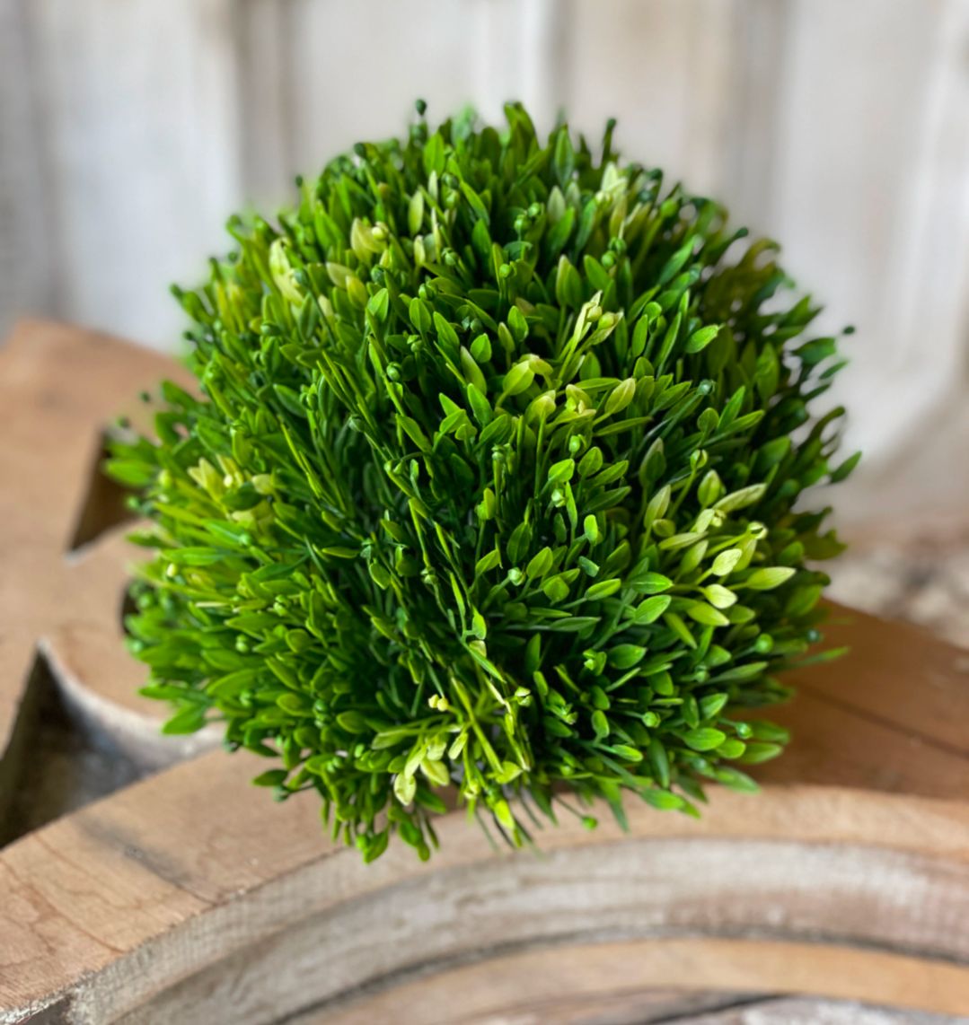 6" Seed Head Half Sphere