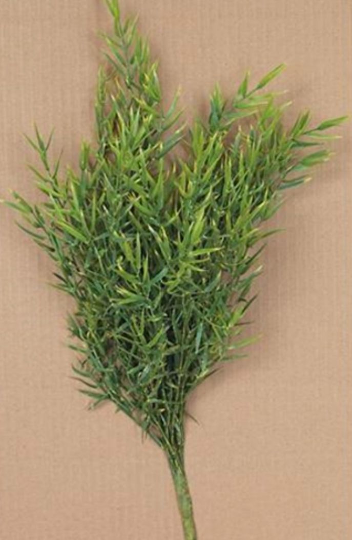 Dill Leaves Floral Pick