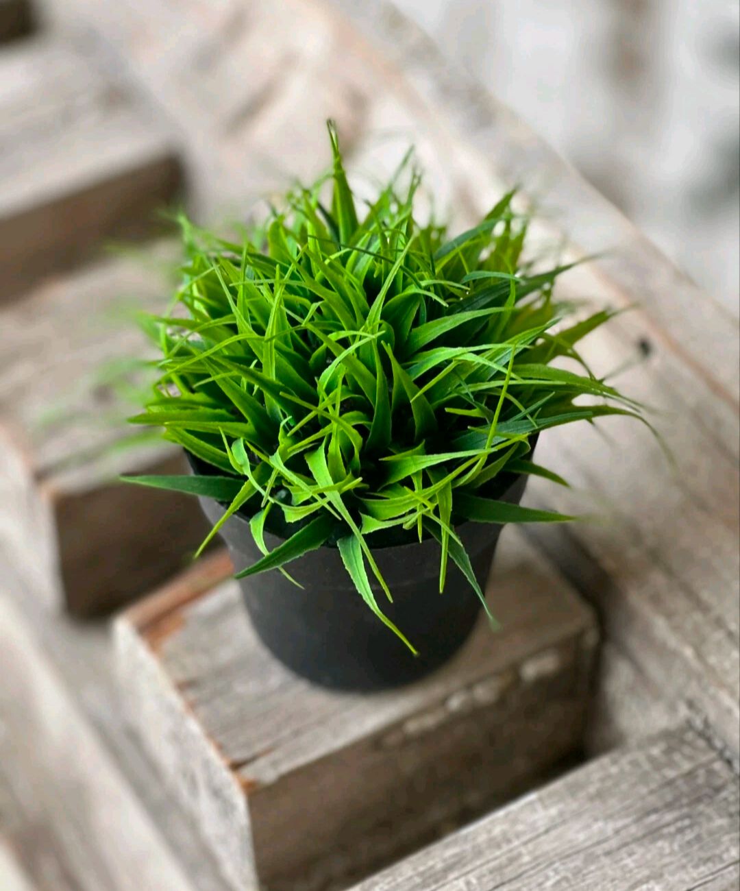 Greenpoint Grass Greenery Plant Floral Decor Shelf Sitter Artificial