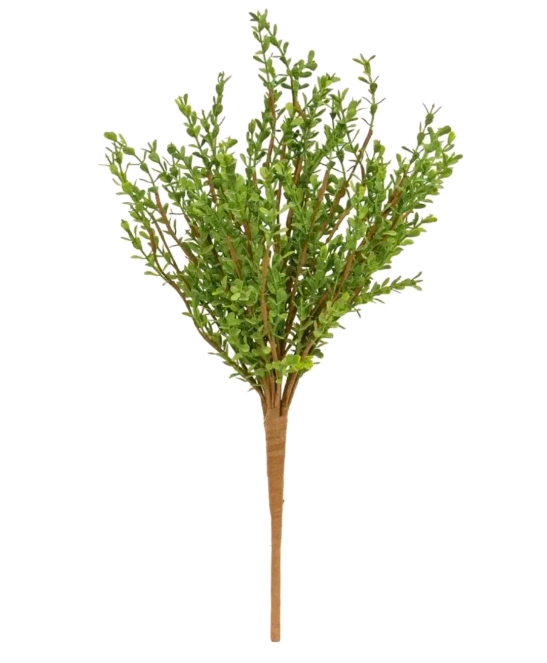 Baby Boxwood Floral Pick Decor