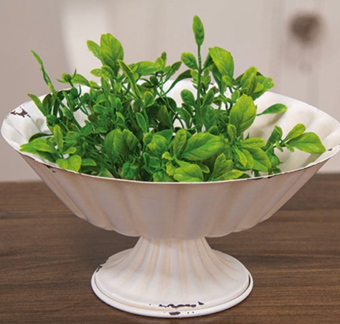 1" Fresh Sprouted English Boxwood Candle Ring