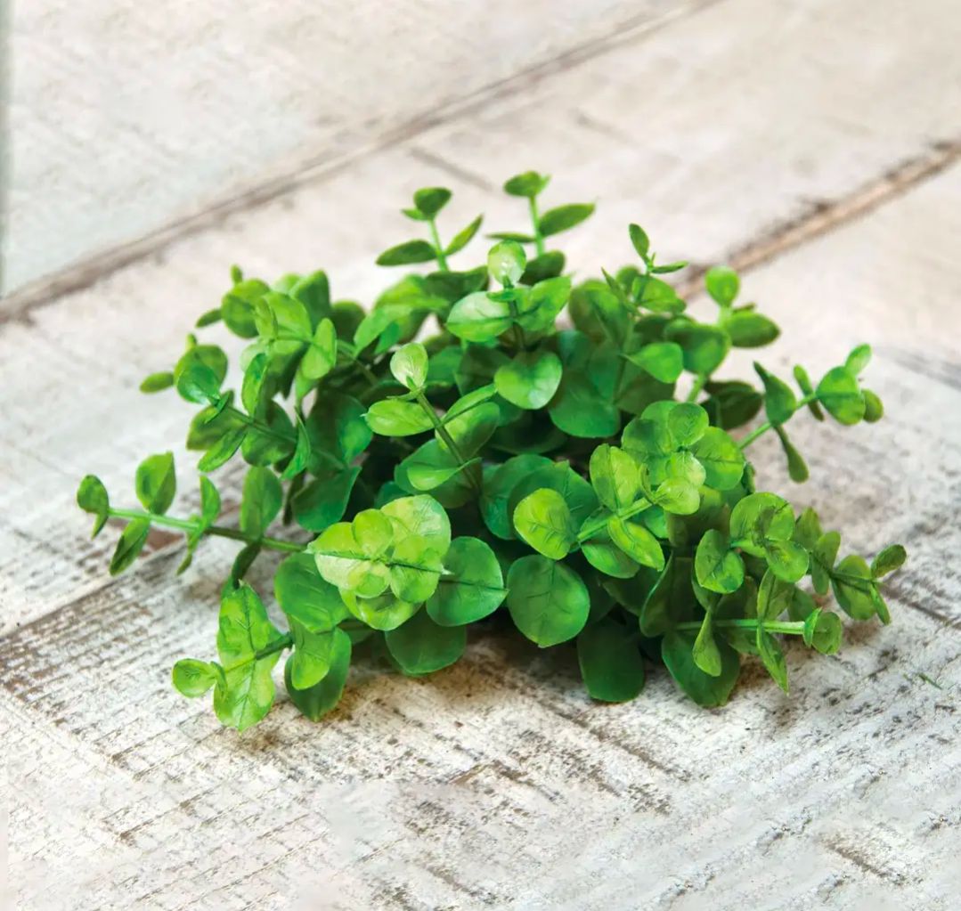 1" Eucalyptus Candle Ring