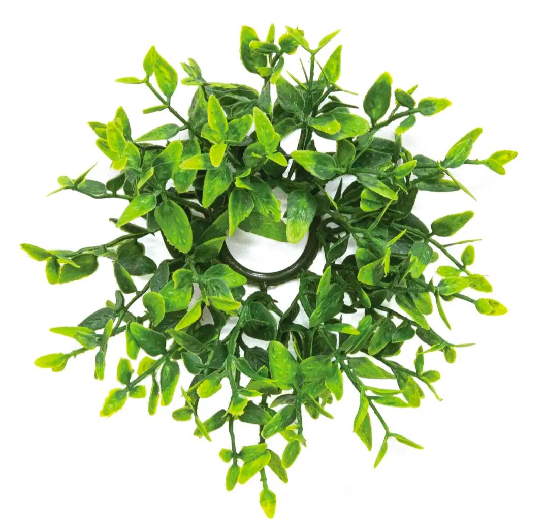 1" Lush Green Lemon Beauty Candle Ring