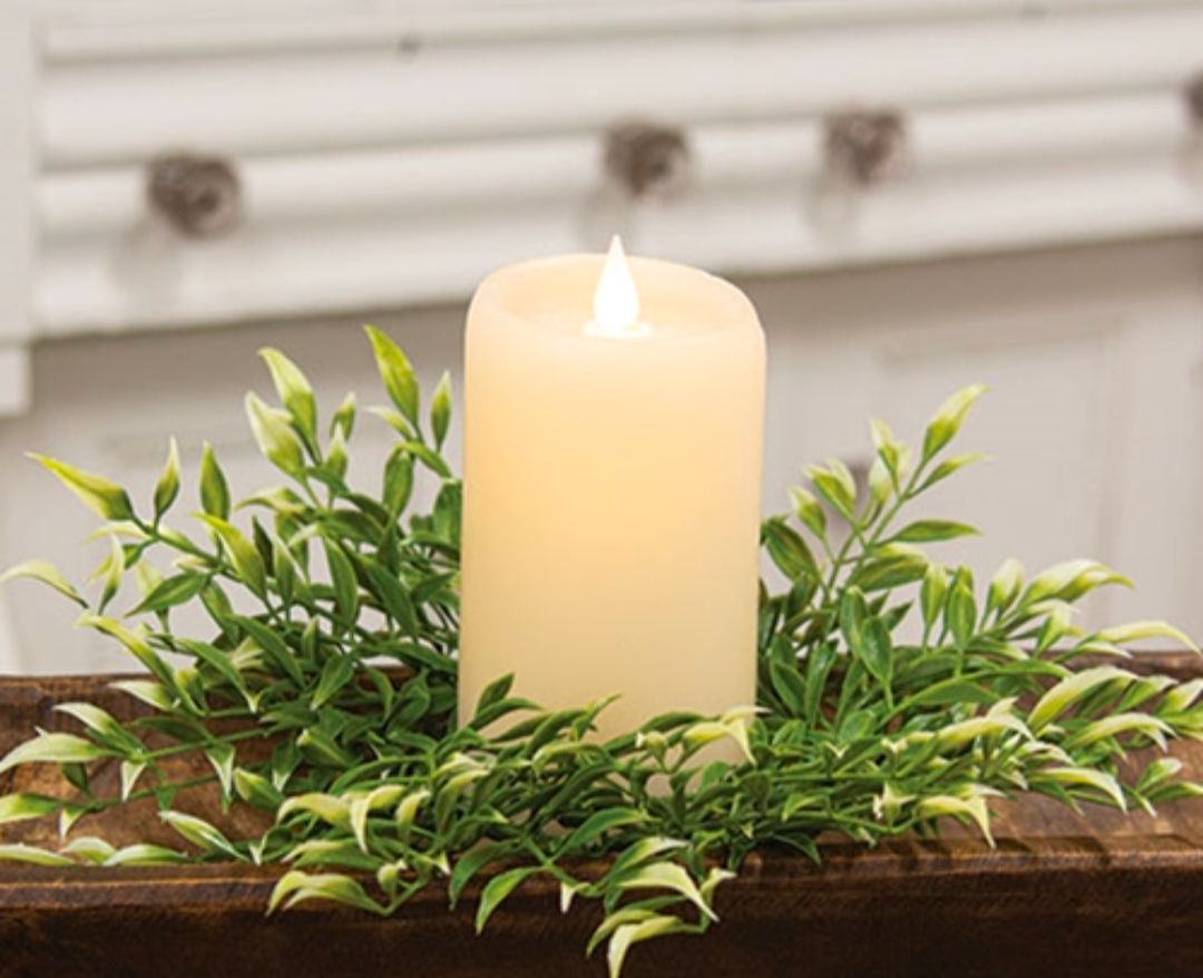 3" Sprouting Smilax Candle Ring