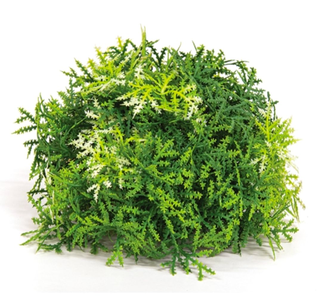 5" Forest Moss Half Sphere