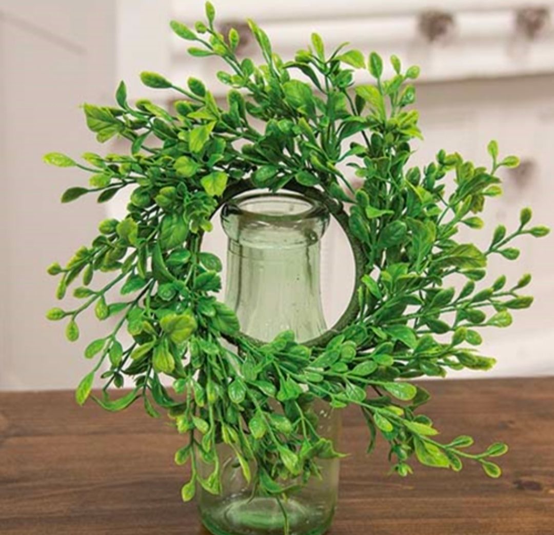 3" Fresh Sprouted English Boxwood Candle Ring