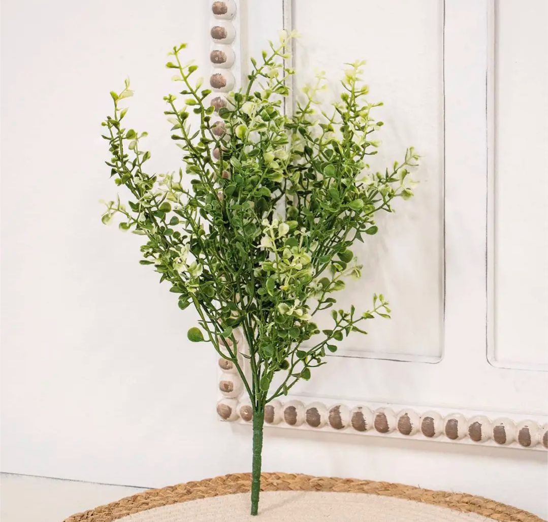 Cream Tipped Baby's Grass Floral Pick 