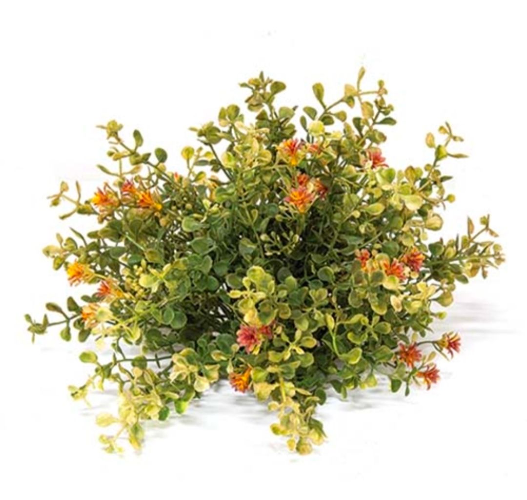 Golden Buds &amp; Baby's Grass Half Sphere