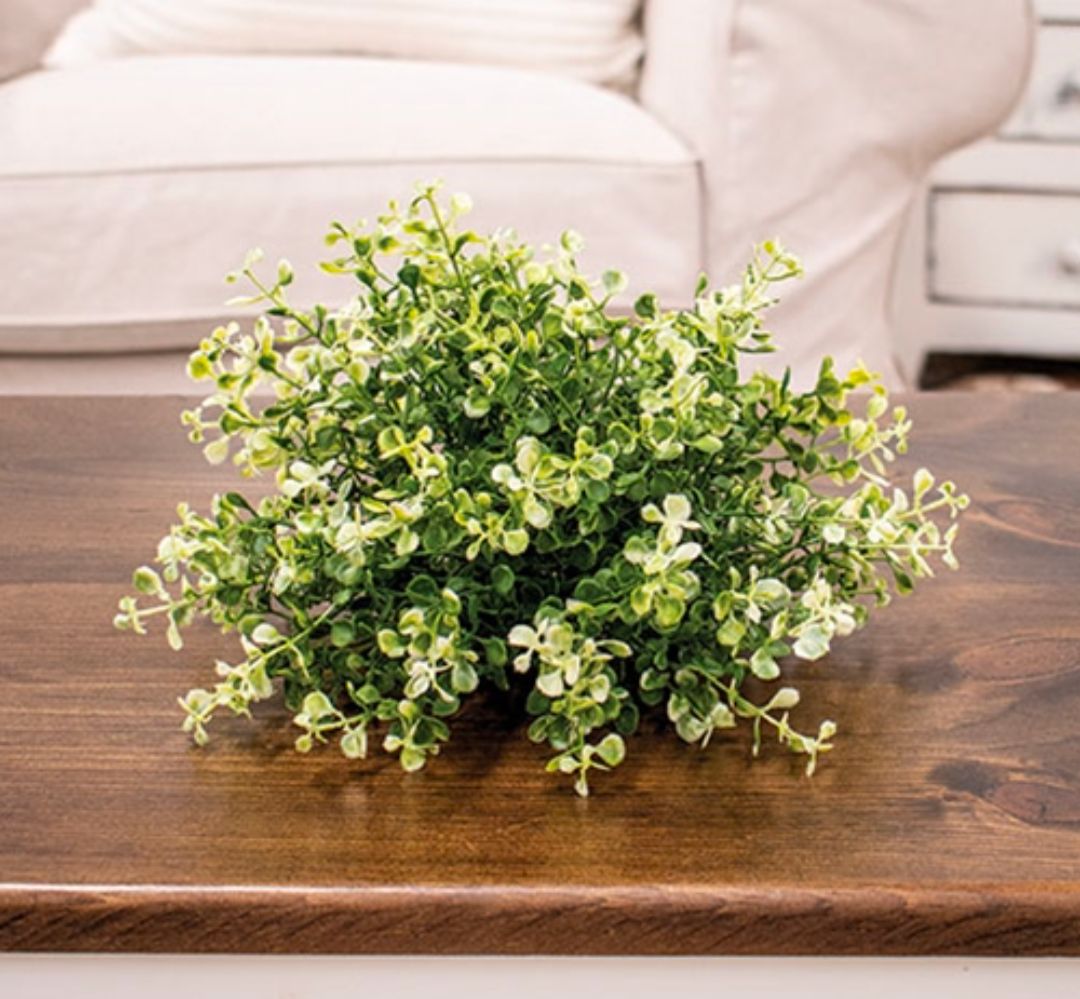 6-1/2" Cream Tipped Baby's Grass Half Sphere