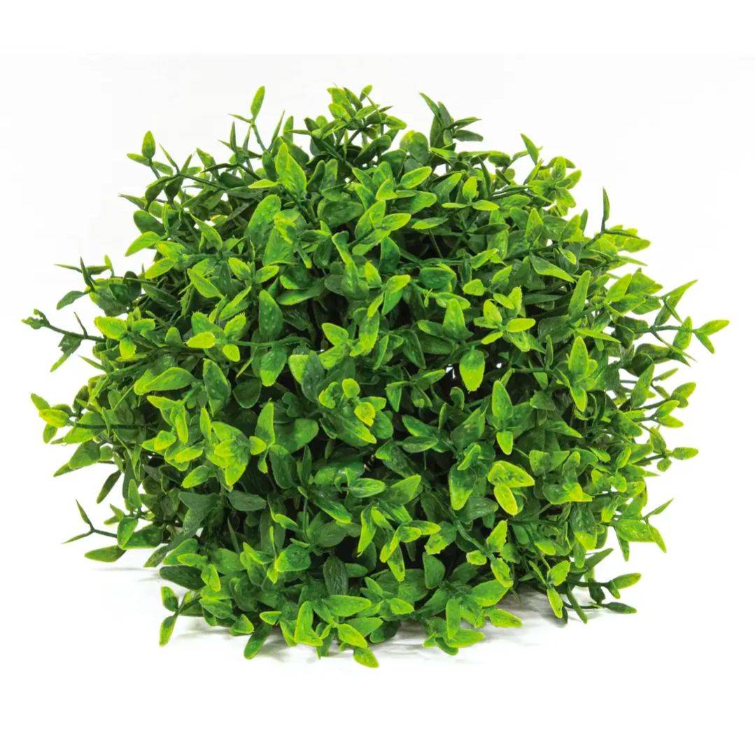 Lush Green Lemon Beauty Half Sphere