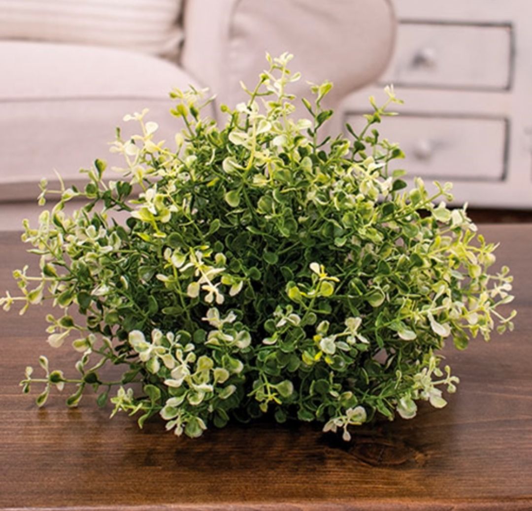 7" Cream Tipped Baby's Grass Half Sphere