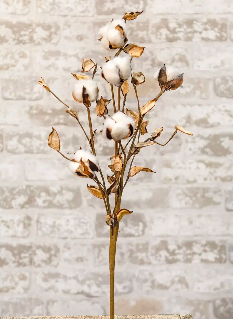 Cotton Floral Pick W/Shells