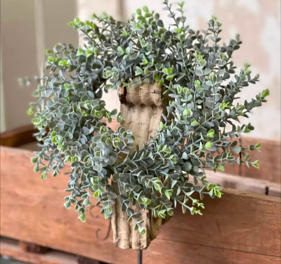 6" Shade Envy Eucalyptus Candle Ring Wreath Decor Accent