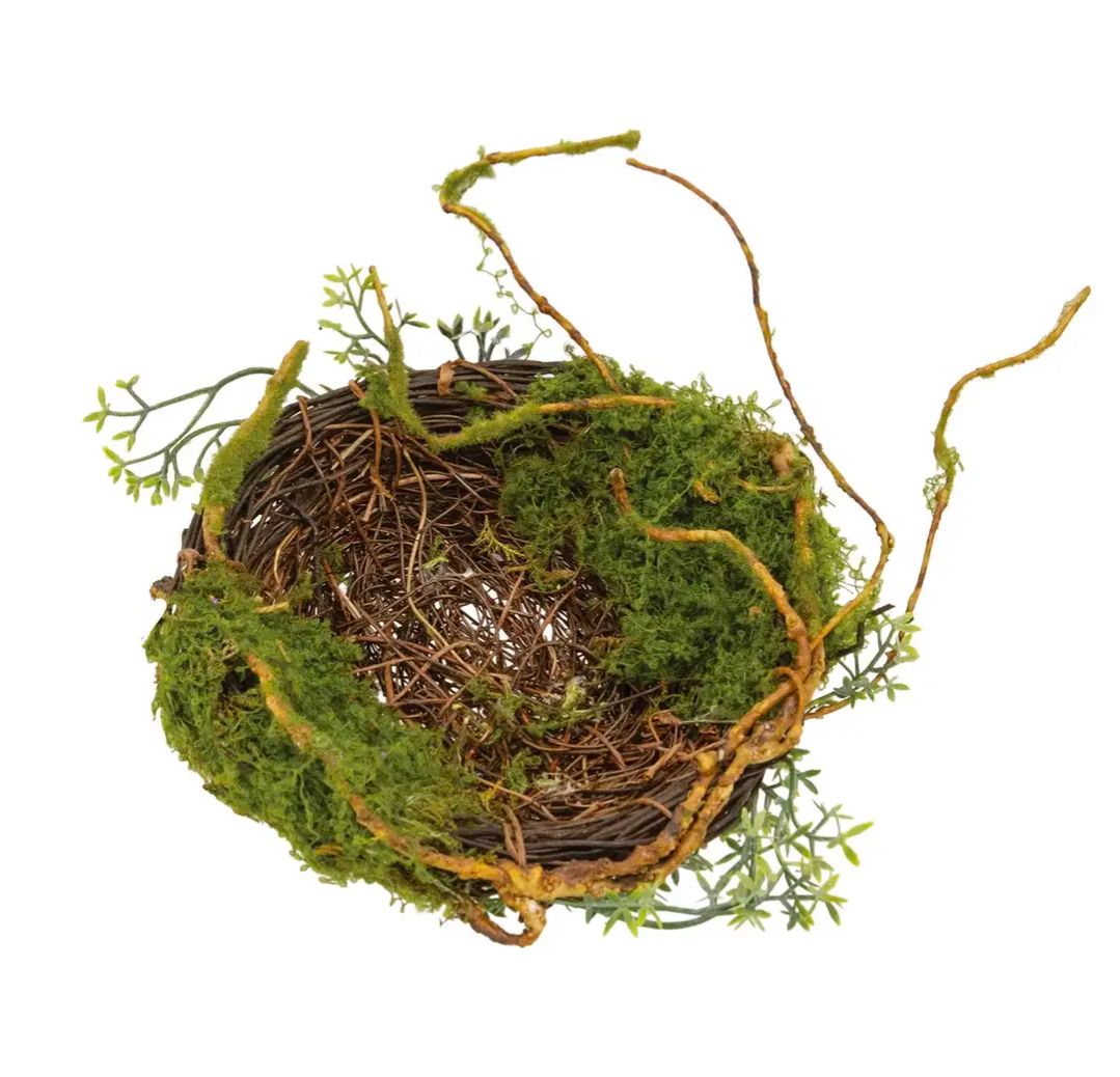 6" Mossy Twig Bird Nest