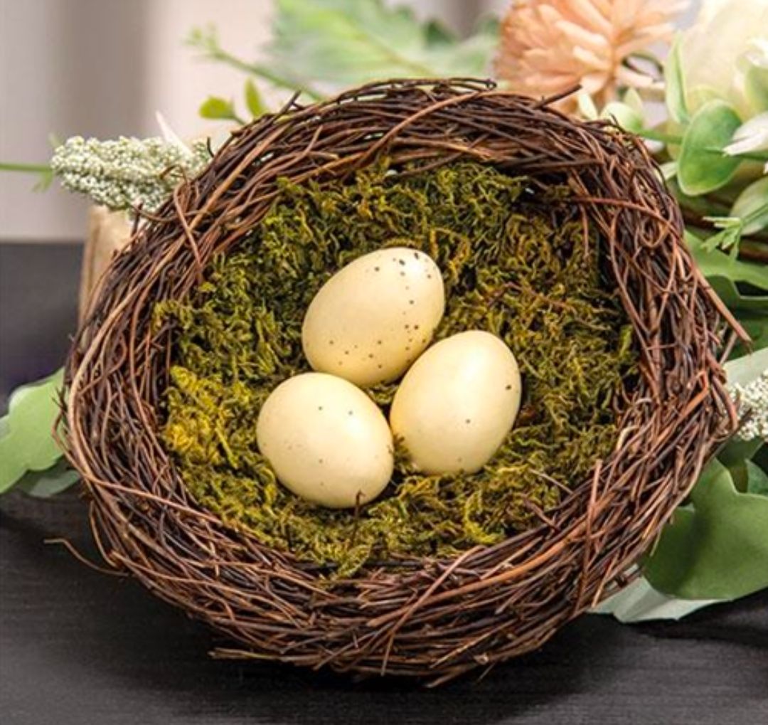 Moss &amp; Vine Bird Nest W/Cream