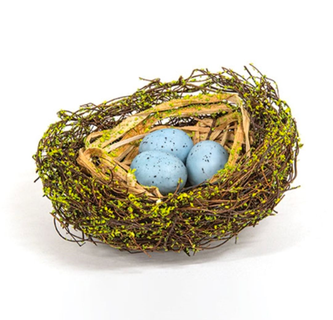 Mossy Early Spring Nest w/Eggs