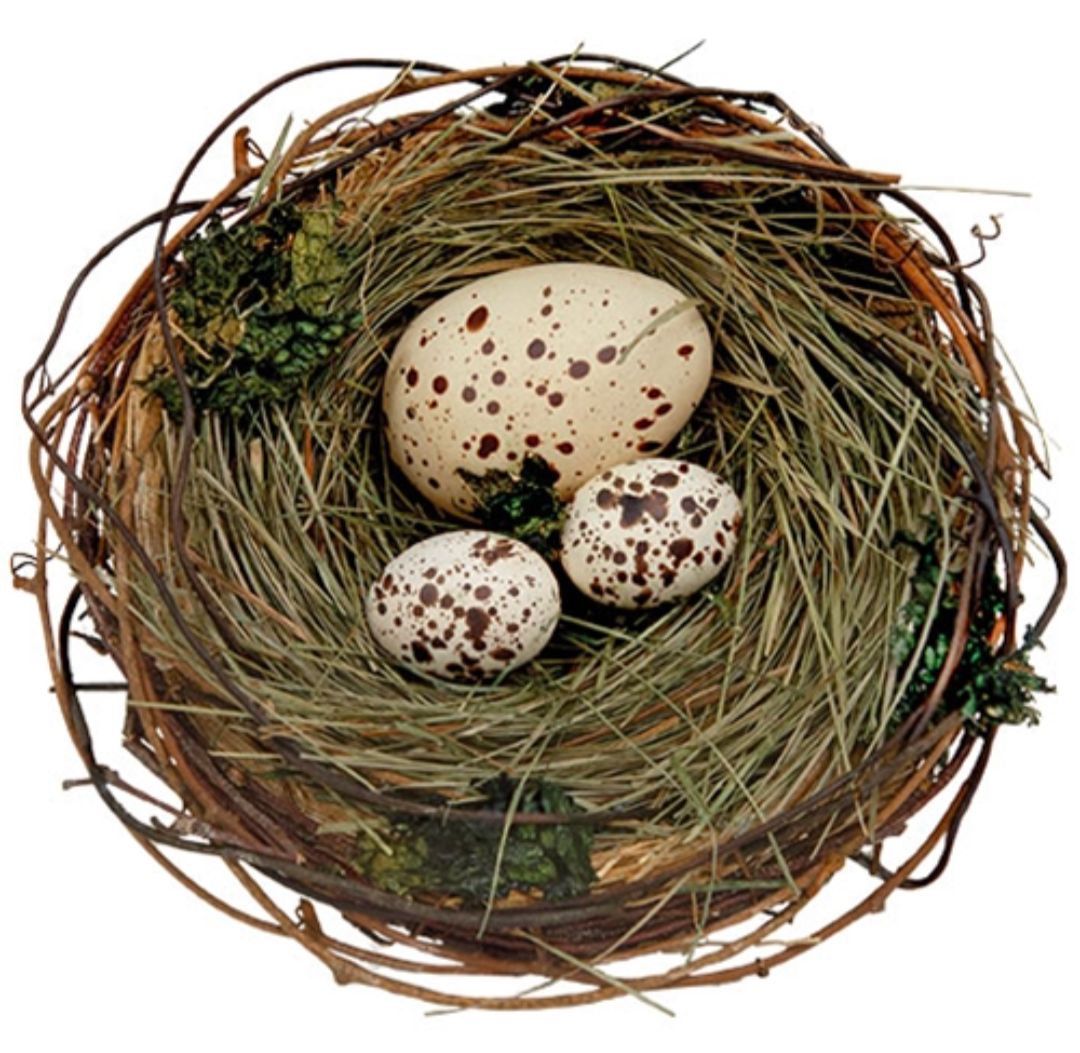 Speckled Egg Trio In Nest