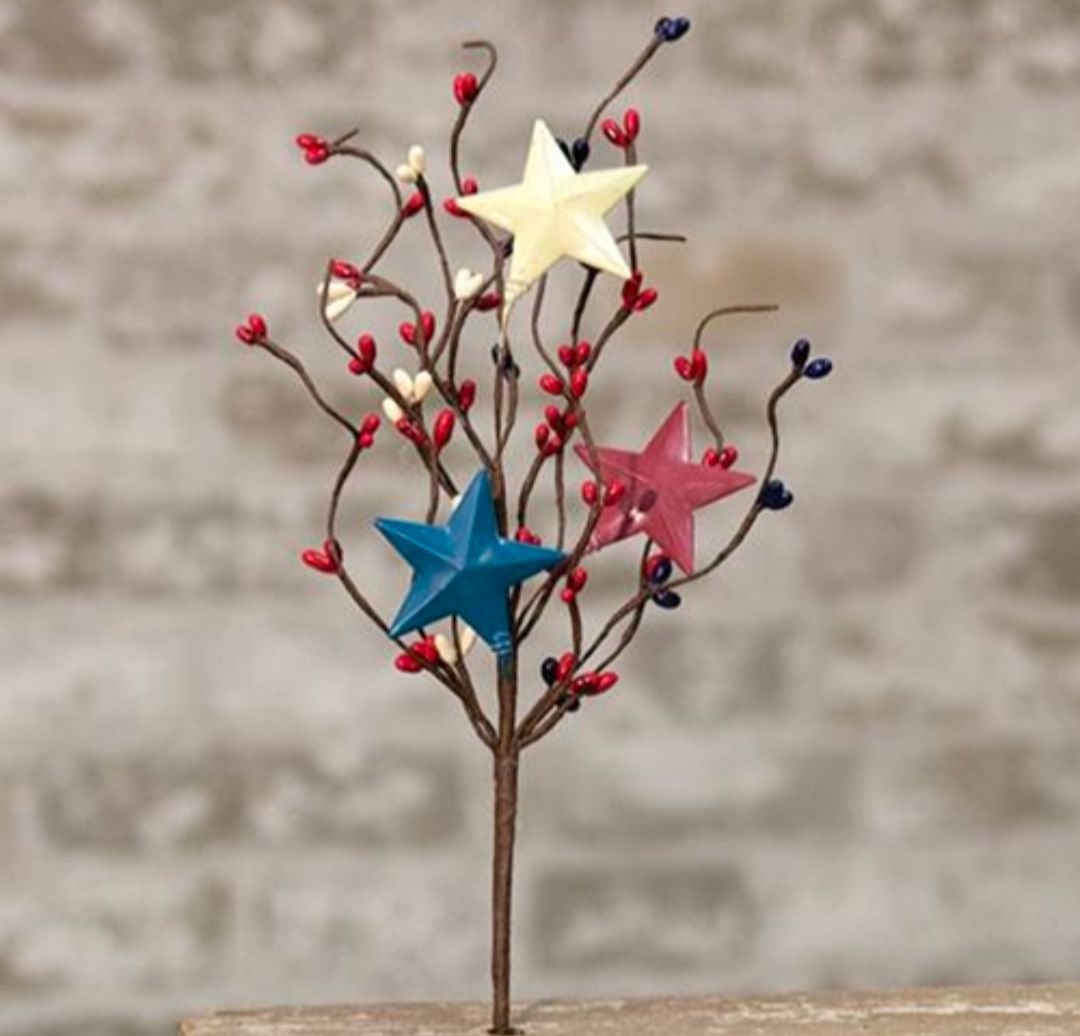 Americana Pip Pick w/White Stars