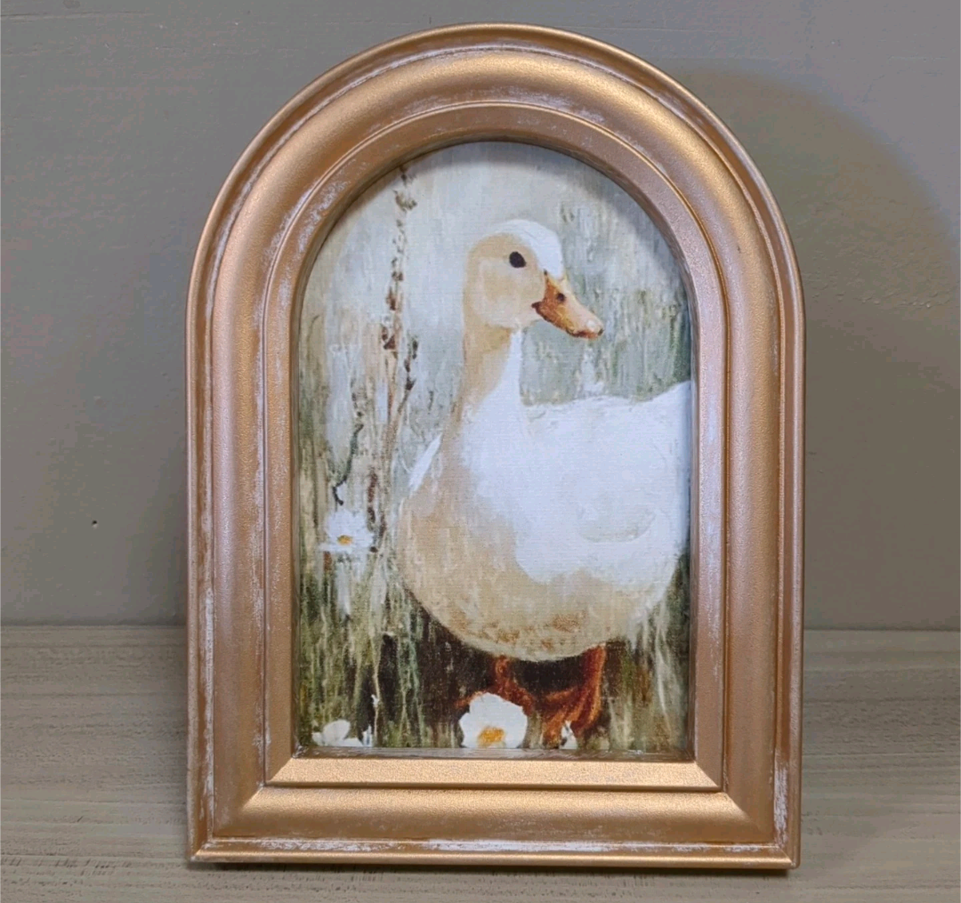 New Arched Spring Print Picture Art Shelf Sitter Decor - Duck