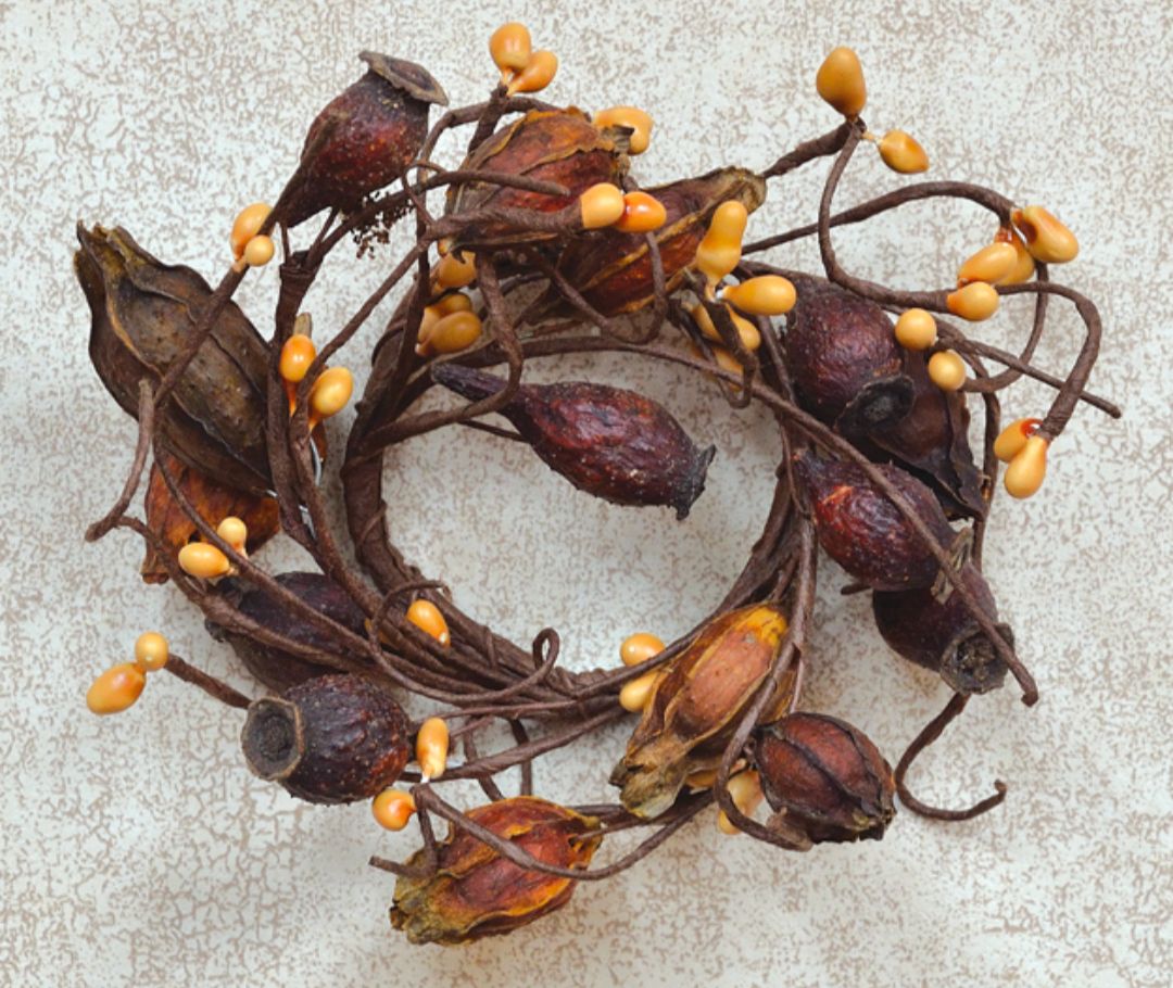 2" Dried Rose Hip Candle Ring