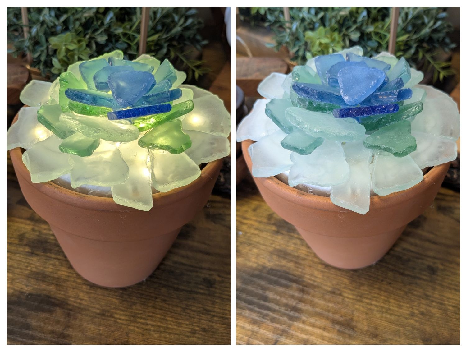 DIY Workshop: Create a Light Up Seaglass Succulent Planter - April 15th (6:30pm-8:30pm)