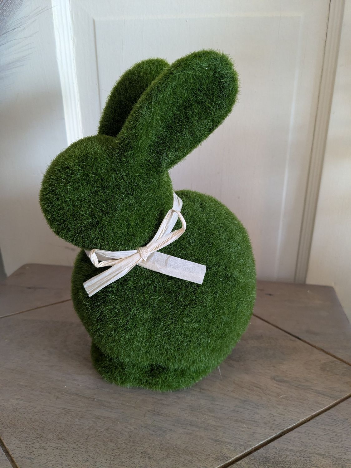 Mossy Bunny